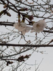 シンプルなものほど